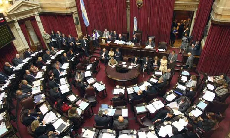 Los senadores rechazaron el proyecto para limitar el uso de los DNU