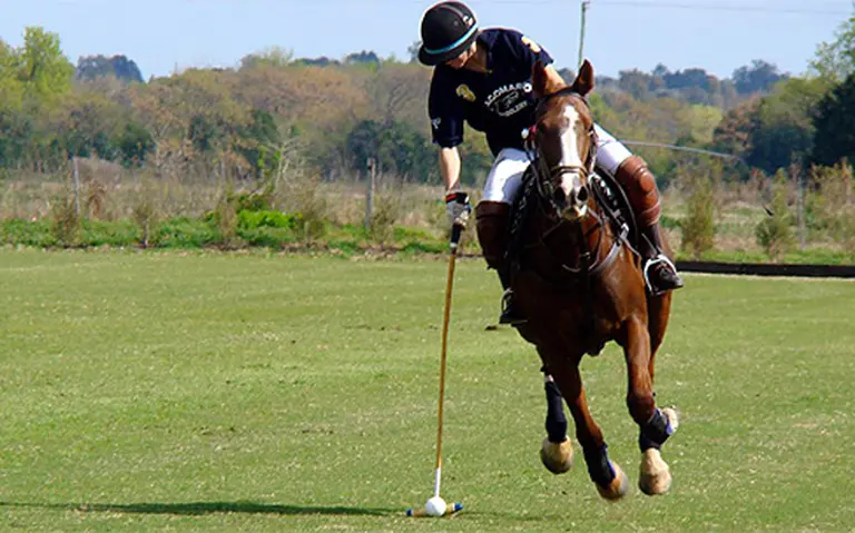 Bodegas Escorihuela Gascón inauguró su propia cancha de polo en Mendoza