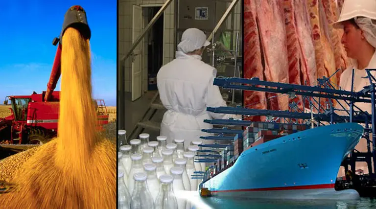 Exportaciones continúan estancadas, pero "reviven" las importaciones