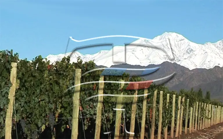 Los "tres vientos" que impulsaron a una bodega a conquistar un centenar de mercados