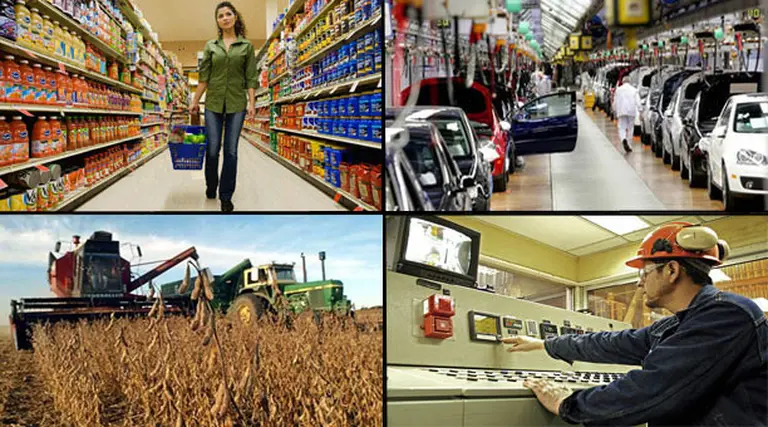 Argentina volvió a crecer en mayo y continuará su expansión en el 2010