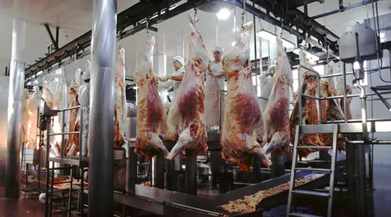 Comisión de Diputados se reúne para tratar el problema de la carne