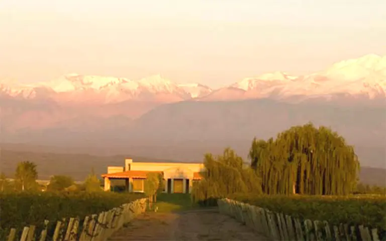 Los dueños de Gancia se quedan con la bodega boutique Viniterra