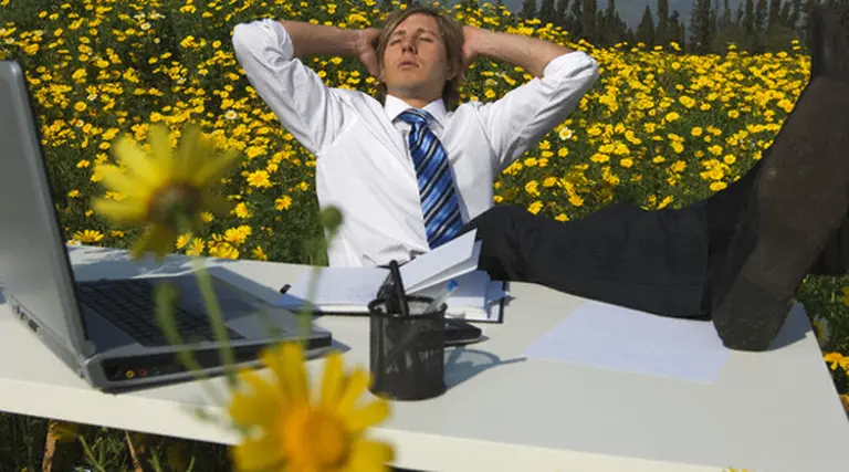 Expertos explican cómo liquidar licencias