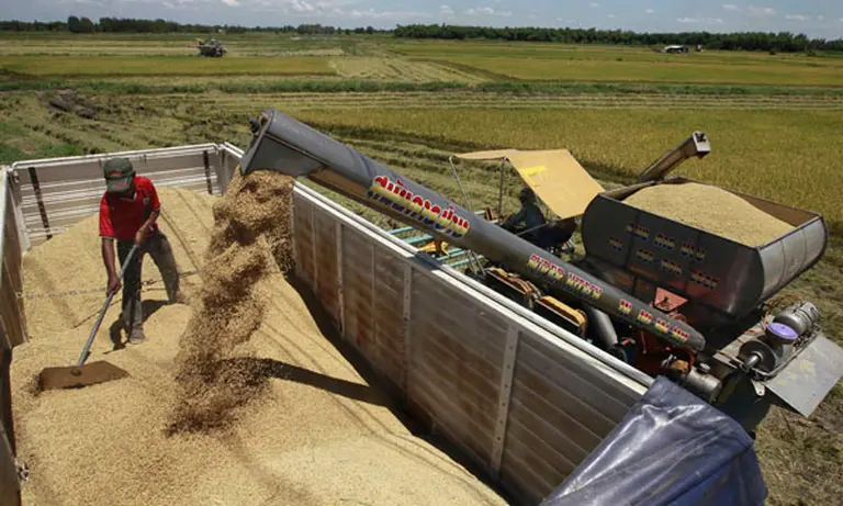 El precio de la soja se mantiene en niveles récord