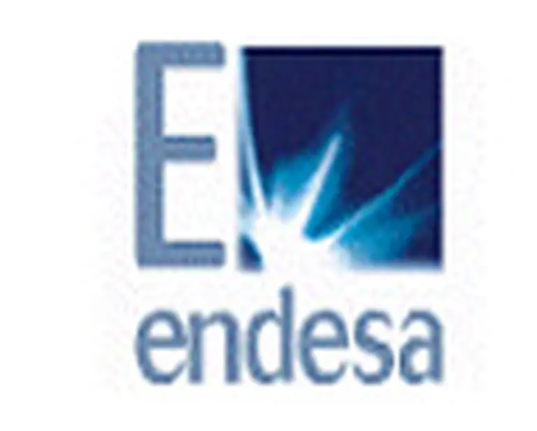 Endesa invertirá 800 millones de dólares en la Argentina