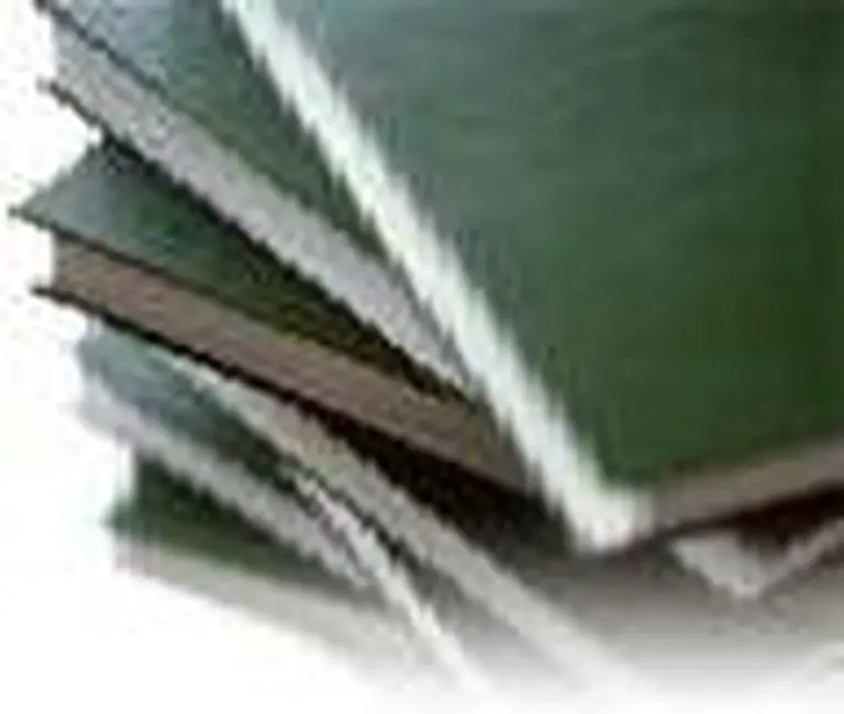 Marval, O'Farrell & Mairal, el estudio jurí­dico de impuestos del año