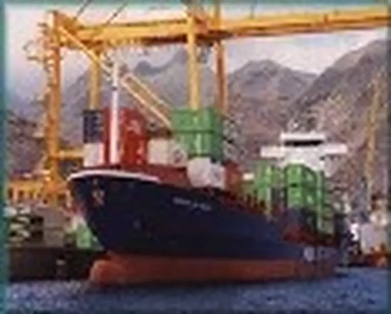 Pese al récord en las exportaciones, se redujo el superávit comercial