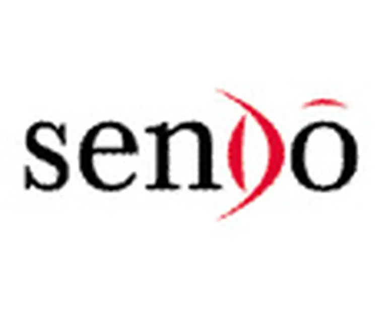 Aparece Sendo, una nueva marca en el mercado móvil local