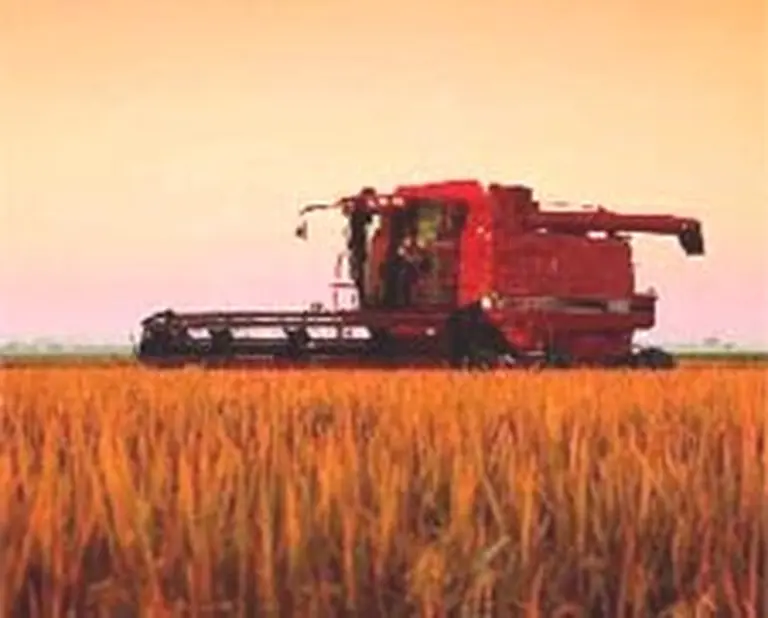 Crecen  los "pools de siembra" por fideicomisos agropecuarios