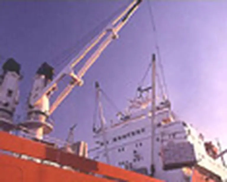 La AFIP impone sobrecarga impositiva a importadores