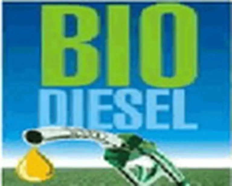 Repsol-YPF se lanza a la producción de biodiésel en la Argentina