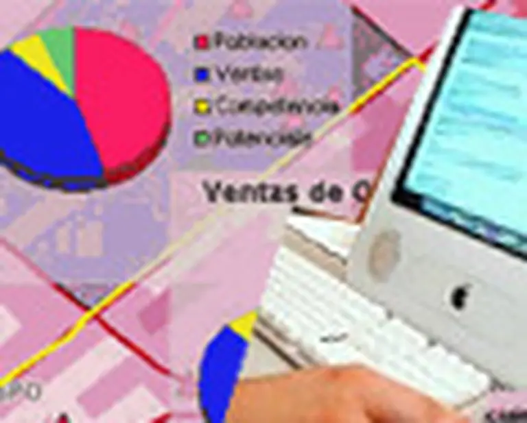 Mapeo digital en los negocios
