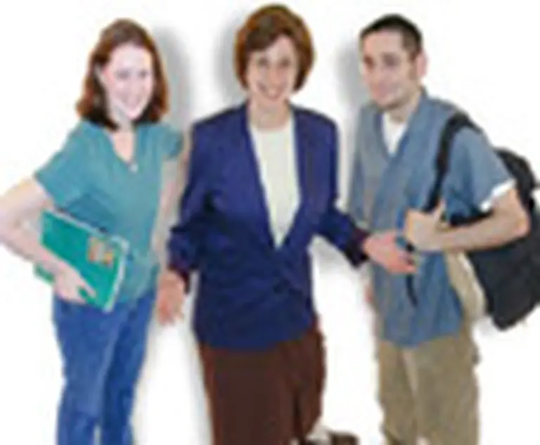 Las consultoras, "socios" en los programas de carrera