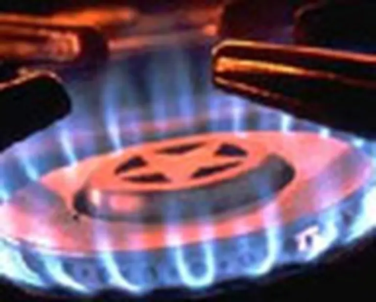 En Chile, el gas cuesta hasta diez veces más que en la Argentina