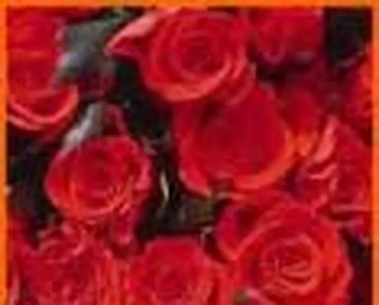 Iberia Cargo amplí­a sus instalaciones para el transporte de flores frescas