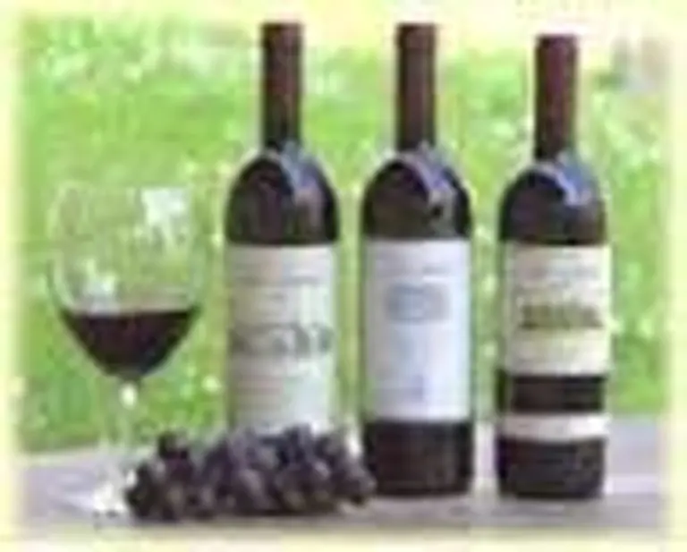 Europa extiende permiso para importar vinos argentinos