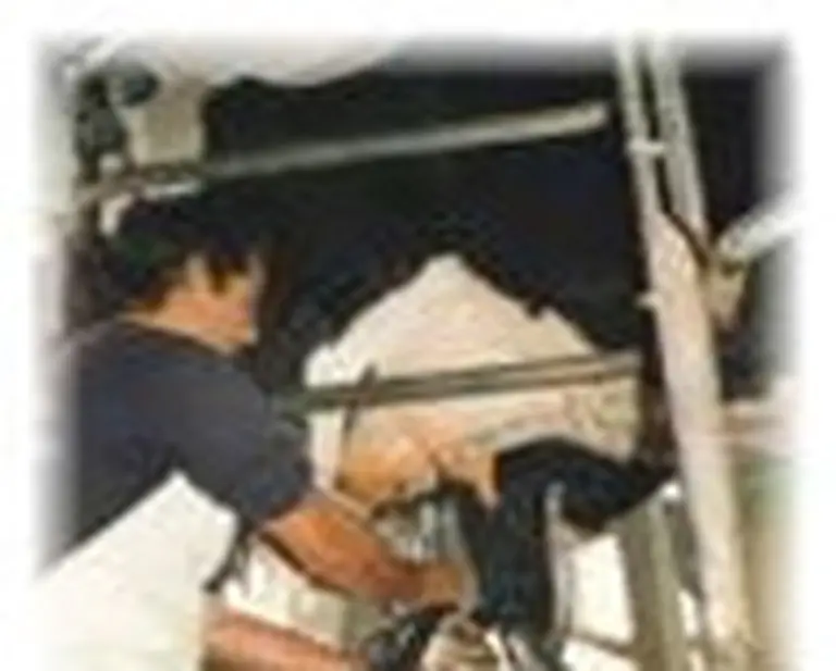 Las retenciones a los lácteos se usarán para financiar créditos