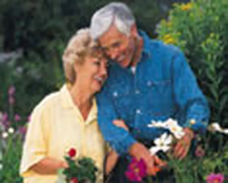 La jubilación anticipada no prolonga la vida, asegura un estudio