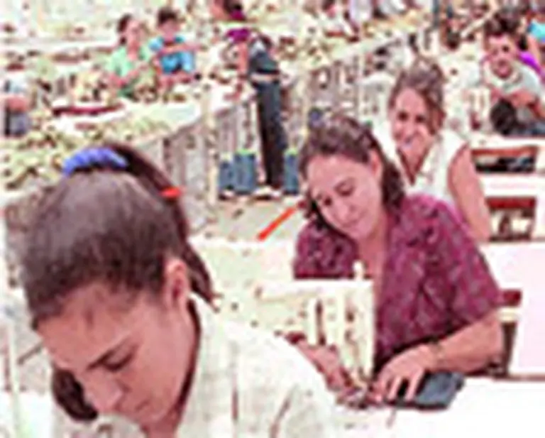 Los empleadores que se inscriban ante la AFIP serán incluidos al SUAF