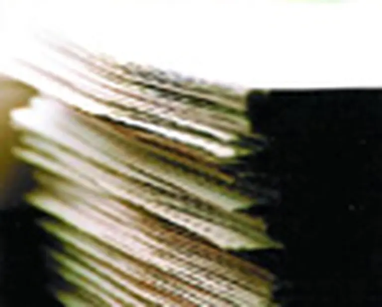 La atracción de los juicios laborales y la opción continuativa del empleado