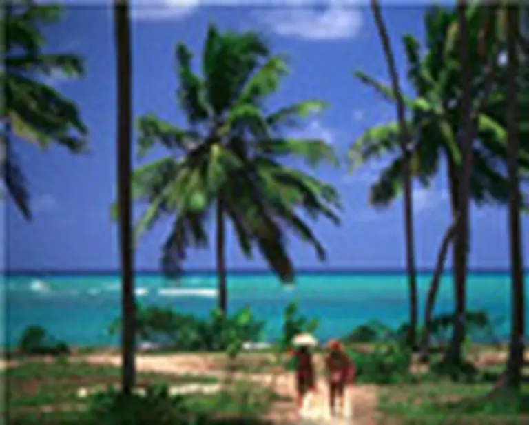 Empleadores: cómo liquidar correctamente las vacaciones