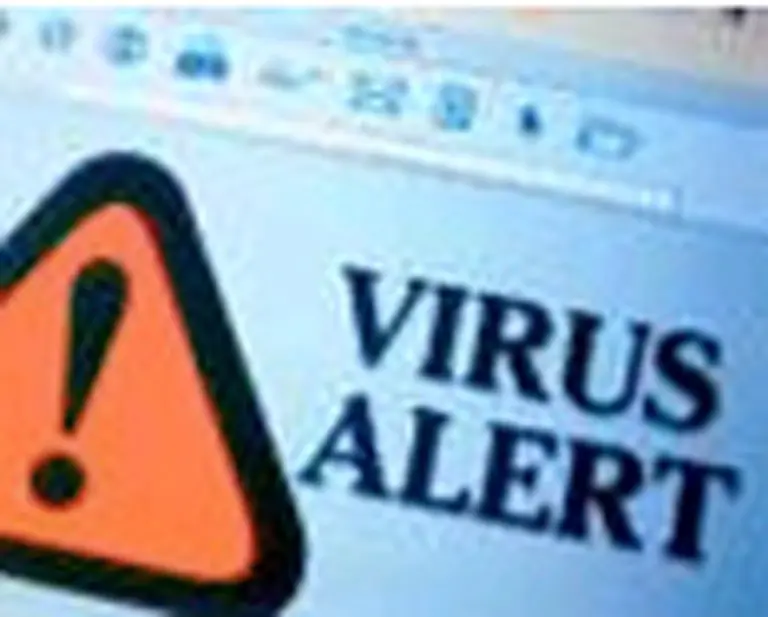 Resurge el virus Mitglieder y se eleva el riesgo de infecciones