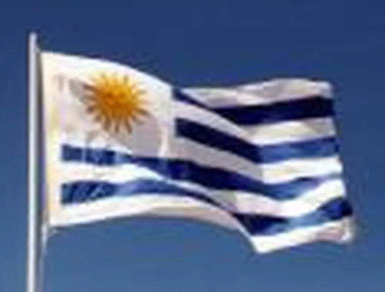 Uruguay tiene un déficit comercial de u$s215 millones