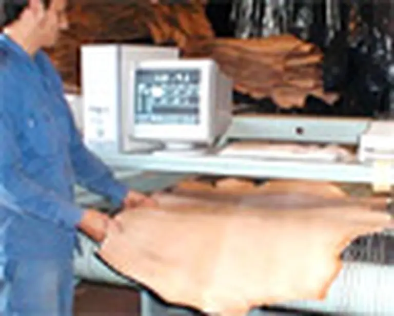 Empresarios del cuero reclamaron aumento de reintegros