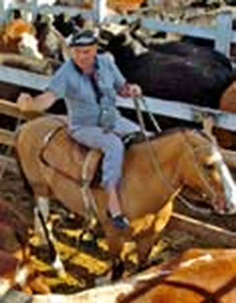 El Mercado de Liniers no logra recuperar el nivel