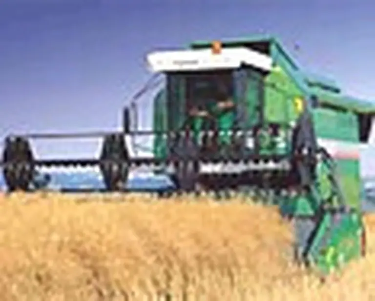 Ilsa concretó el sueño de exportar y va por más