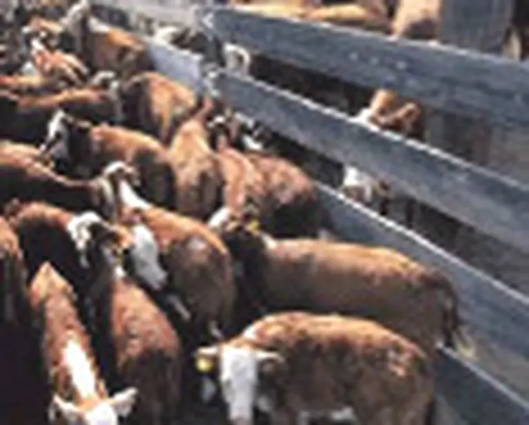 Con crí­ticas al Gobierno, continúa el paro en el campo