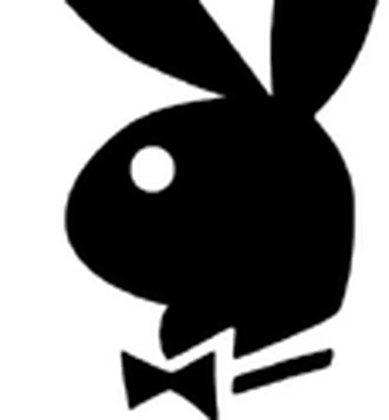 No habrá un dominio para la pornografí­a en la red