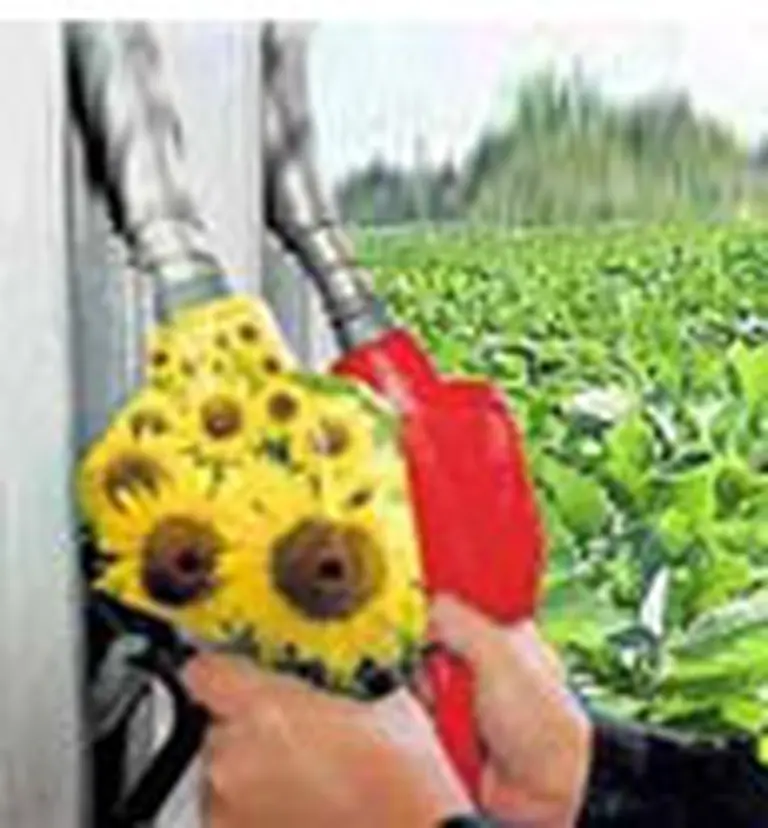 Biocombustibles, una ví­a para captar inversiones