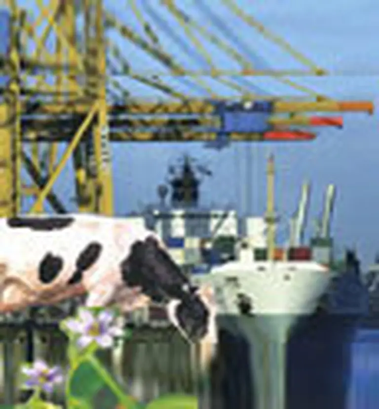 Carne: pese a la veda se exportará a nivel récord