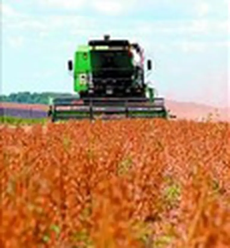 Prorrogan régimen de retención a Ganancias para el agro