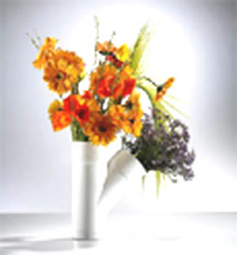 La creatividad de vanguardia inspira a Easy