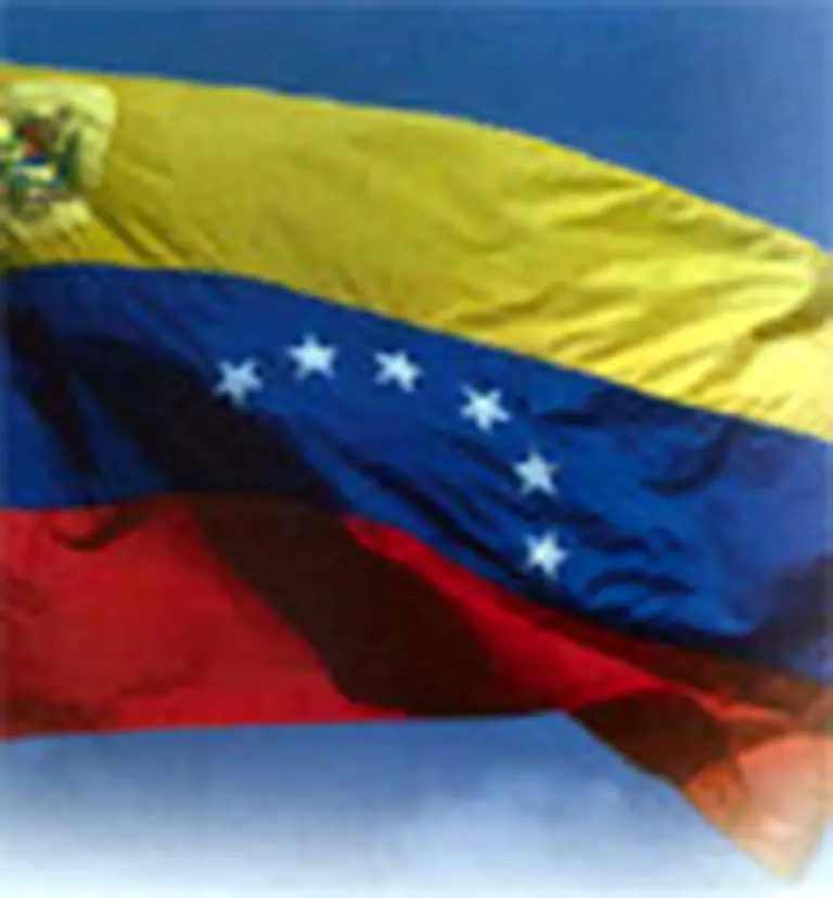 Plásticos y productos quí­micos, con gran potencial en Venezuela