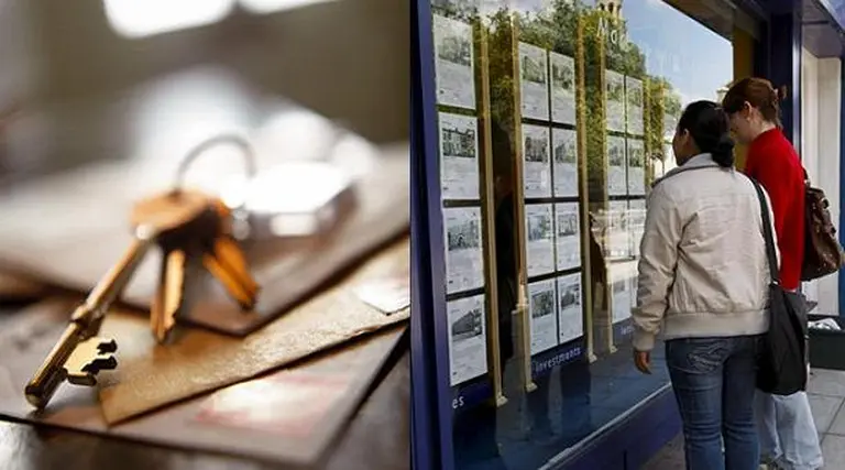 Esperan que el CEDIN tenga un "efecto multiplicador" en el mercado inmobiliario