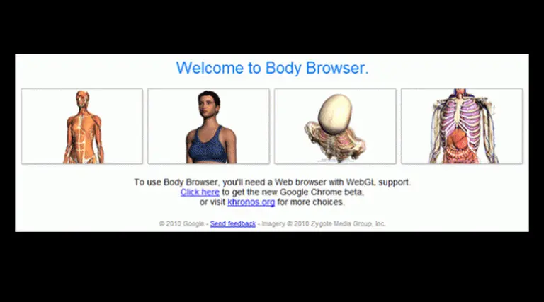 Google ahora prueba con las búsquedas en el propio cuerpo humano