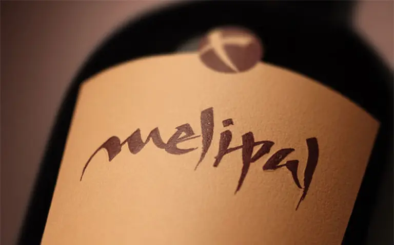 Melipal: la bodega boutique que es sinónimo de Malbec ahora apuesta a nuevas variedades