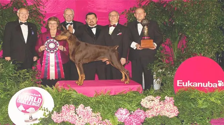 Dobermann argentino ganó 1er puesto en World Challenge Eukanuba