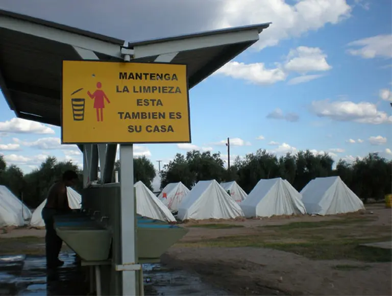 La AFIP detectó 400 trabajadores en negro en un olivar de La Rioja