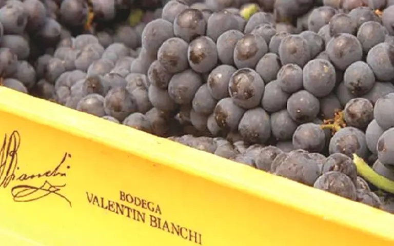 Casa Bianchi designa nuevo directorio y nombra como CEO a Juan Poccard