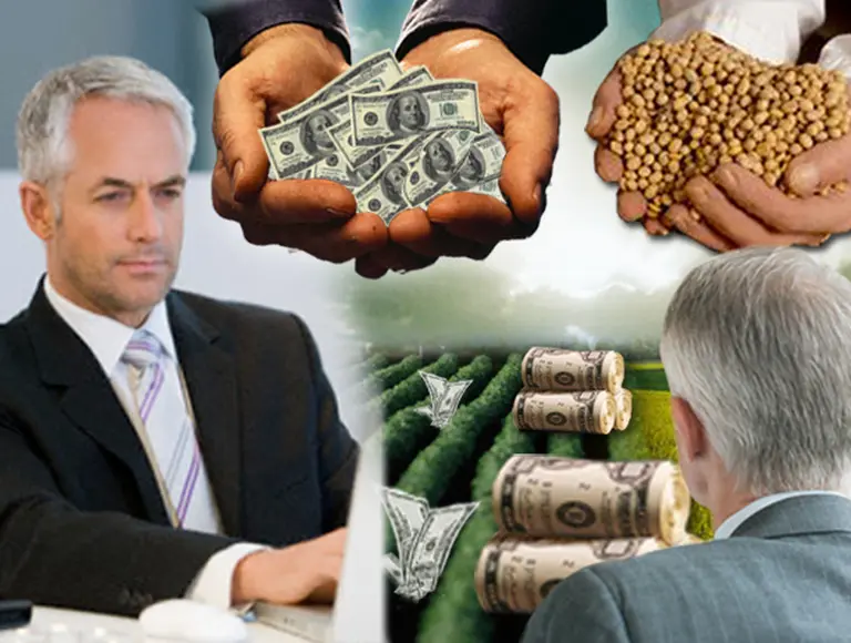 El precio de los campos de soja creció cerca de un 400% en la última década