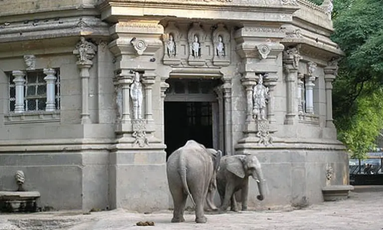 El Zoo porteño se licitará en septiembre y continuará funcionando en Palermo