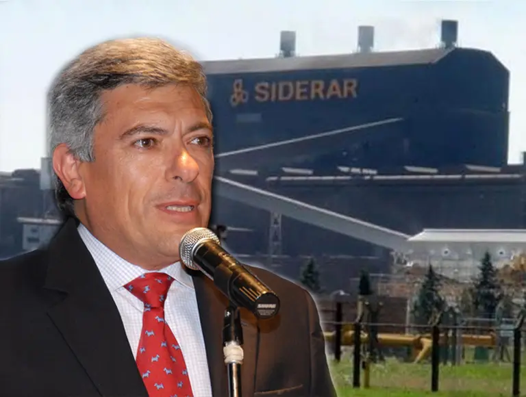 El director de Ternium-Siderar destacó: "Estamos casados con el paí­s, no con el Gobierno"