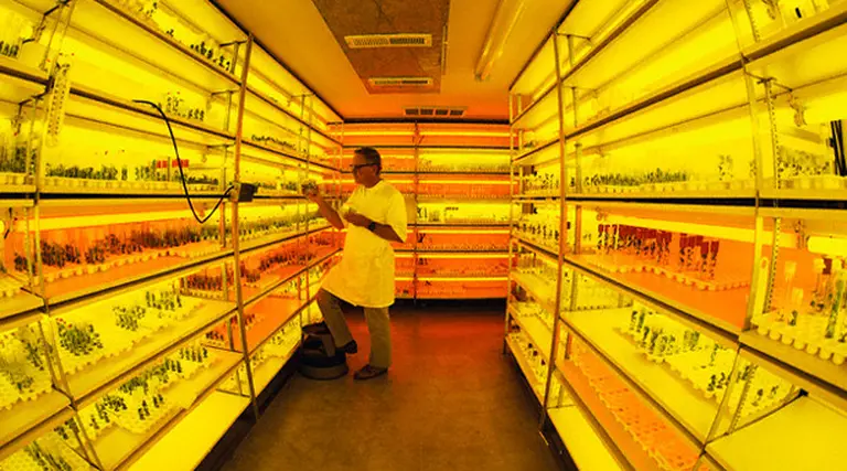 Grupo estadounidense le compra a la local Pfí¶rtner su negocio de lentes de contacto