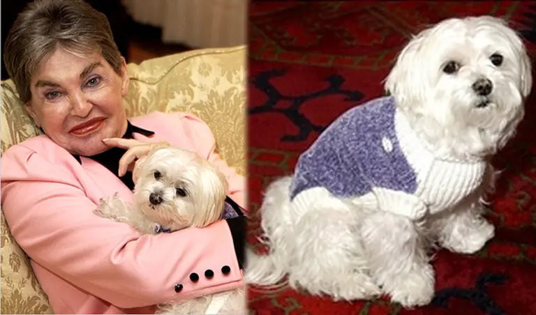 Murió la millonaria perrita heredera de una magnate hotelera