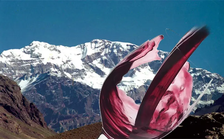 Aquí­ están, estos son cinco de los mejores vinos de altura para tener en casa